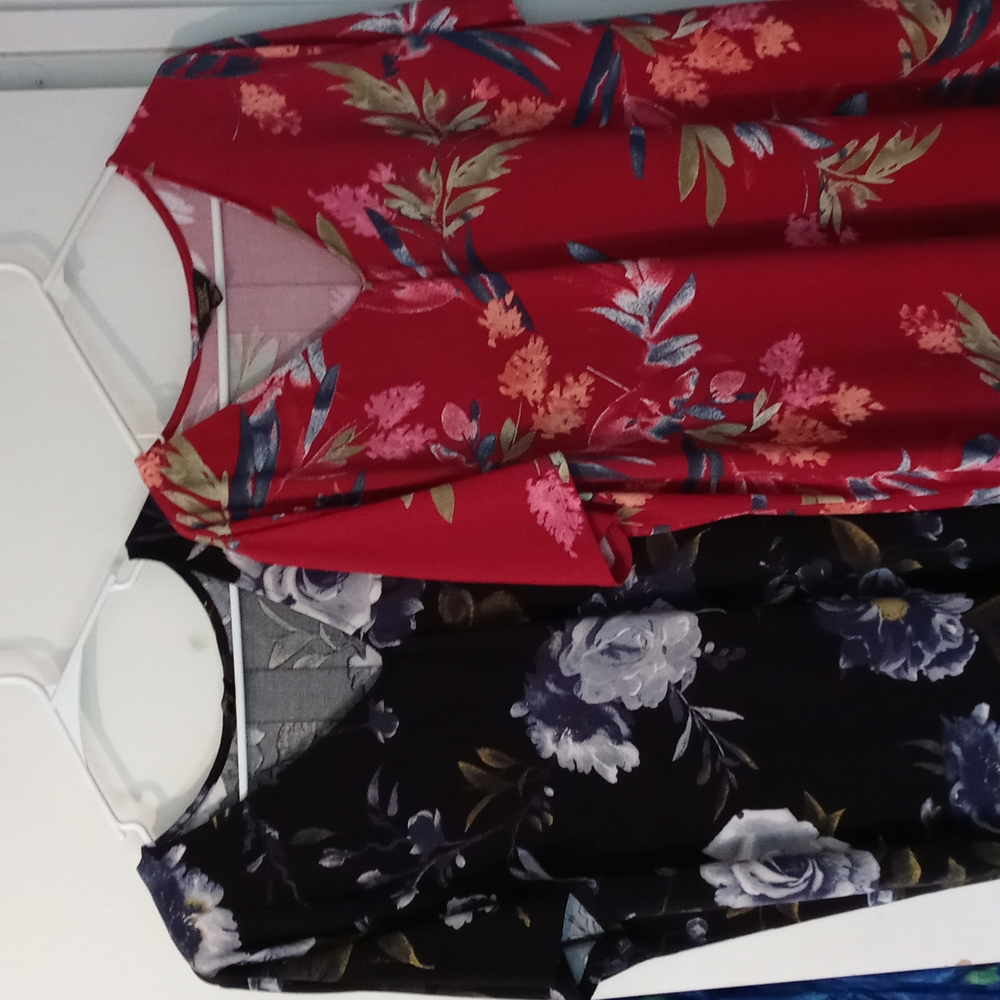 Bundle Of Two Christian Siriano Plus Sizes Dresses - image 1